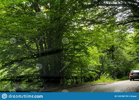 Car On The Forest Road Stock Photo Image Of Hill View 143156170