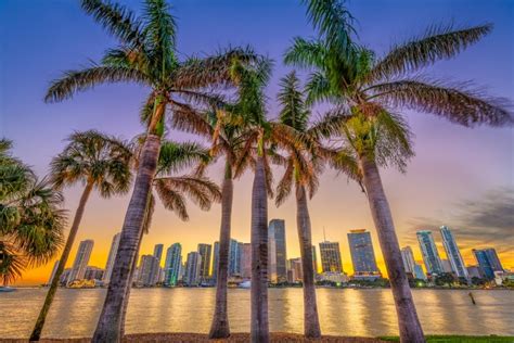 Top Sights To Explore In Downtown Miami Our Globetrotters