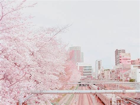 Pin By Alexandra Cote On O はな ･゜ﾟ･･ Pastel Pink Aesthetic Pink