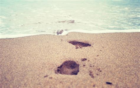 Shoreline Beach Sand Footprints HD Wallpaper Wallpaper Flare