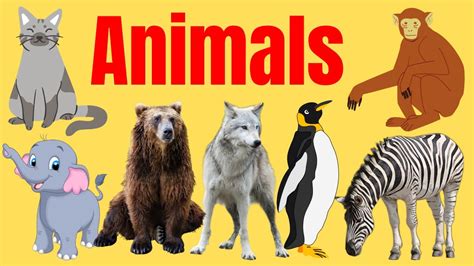 Learn Animal Names With Pictures In English Learn Animal Names In