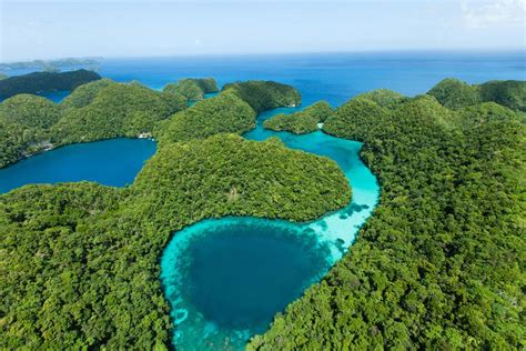 Palau Ocean Divers Palaos Micronesia Hype Tv