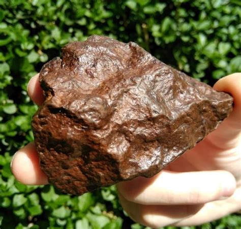 Nwa Chondrite Meteorite 1848 G Catawiki