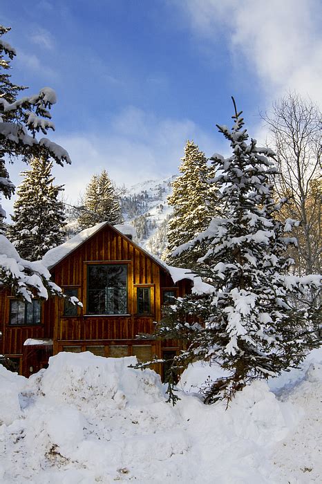 Snow Covered Cabin By Scott Pellegrin