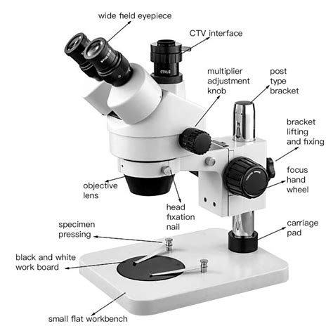 Six Special Optical Microscopes And Their Differences