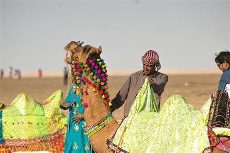 El Dueño Del Pastor Del Camello Se Coloca Cerca De Camello Colorido