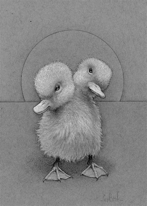 Baby Ducks Drawing By George Paul Miller Fine Art America