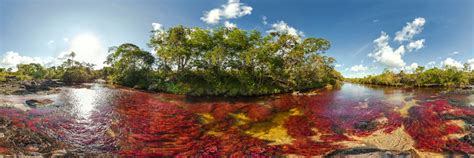 Colombia Caño Cristales Colombia The Most Beautiful
