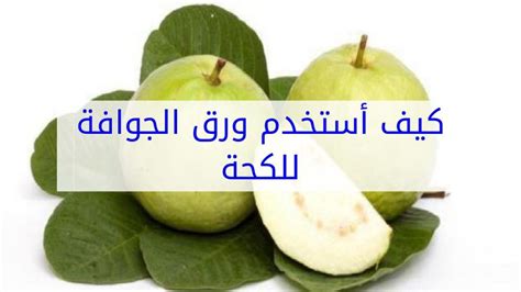 ورق الجوافة للبلغم