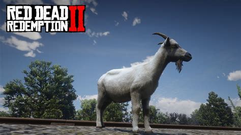 Goats Red Dead Redemption 2 Goat Herd Youtube