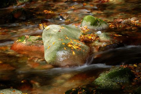The River And Red Fallen Leaves Stock Image Image Of Multi Blue