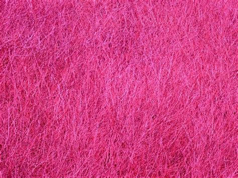 Pink Texture Background Free Stock Photo Public Domain Pictures