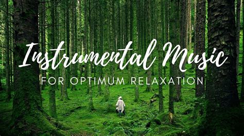 relaxing instrumental music calming music with nature sounds youtube