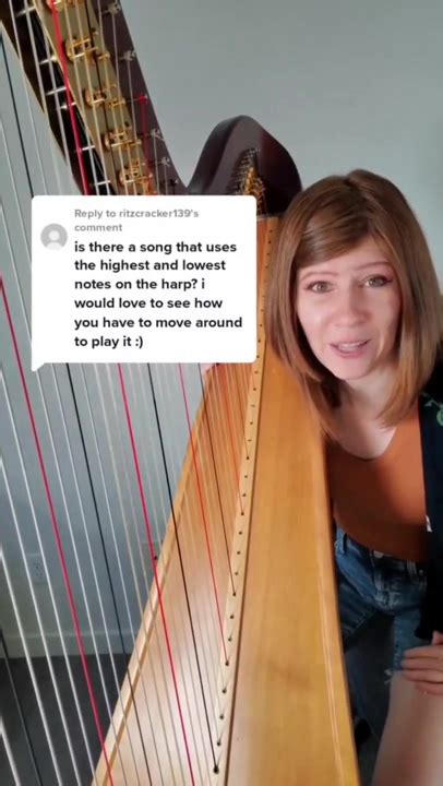 Dumpert Harpmevrouw Doet Harp