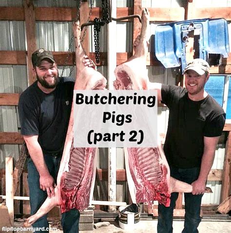 Butchering Pigs Part 2 The Flip Flop Barnyard