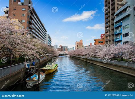 Travel Sakura Flower In Japan On The River Editorial Image Image Of