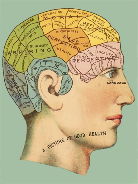 Phrenology Head Chart This Phrenology Chart Showing The Ar Flickr