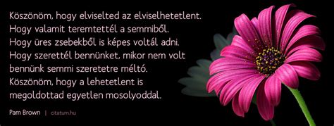 Idézetek idézetek motiváció inspiráció bölcs szavak einstein magyarország. Köszönöm, hogy elviselted az elviselhetetlent.