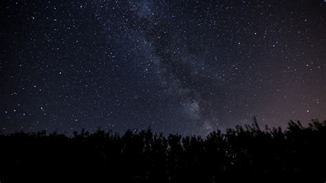 Starry Sky Milky Way Night Trees Dark Shine 4k