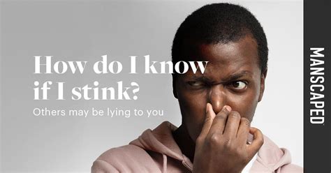 How Do I Know If I Stink Others May Be Lying To You Manscapedcom