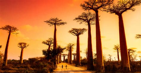 Most Beautiful Places In Africa To Visit On Your Next Trip Exoticca Blog