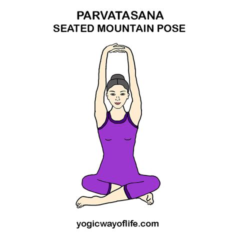 Mountain Pose In Yoga Yoga Poses