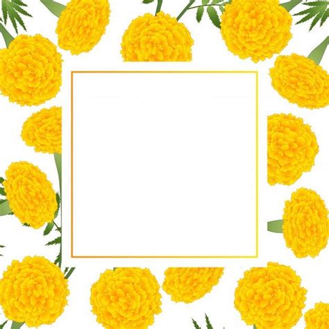 Premium Vector Yellow Marigold On White Banner Card Floral Cards