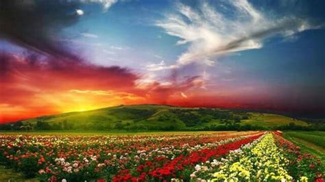 Nature Valley Of Flowers Beautiful Landscapes Beautiful Nature