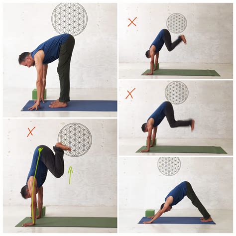 Nadine zeigt dir diese yoga übung sehr langsam. Yoga Sonnengruß - Anleitung für Yoga-Anfänger + PDF zum ...