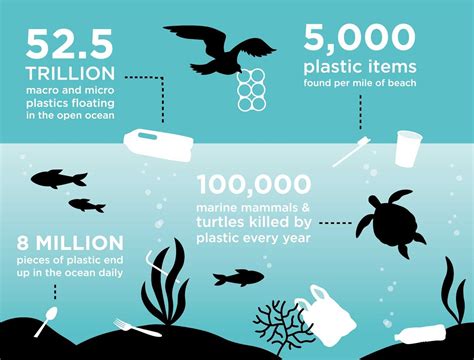 Reasons Why You Should Be Reducing Your Single Use Plastic Consumption