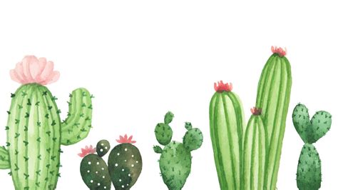 Cartoon Cactus Wallpapers Wallpaper Cave