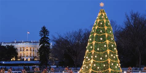 The Prettiest Christmas Trees In America Pretty Christmas Trees
