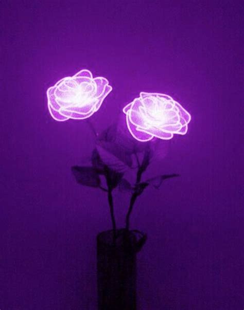 neon purple aesthetic flower 🌹{flower light aesthetic}🥀 dark purple aesthetic violet