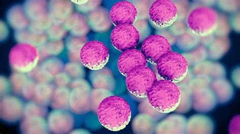 Everything You Need To Know About The Superbug Mrsa