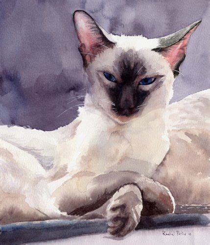Cat Paintings By Rachel Parker Siamesewatercolorpicturesbyrachel