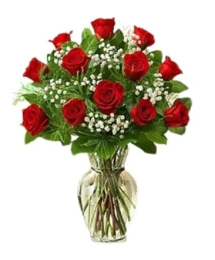 Classic Red Rose Dozen In Mount Pearl Nl Mount Pearl Florist