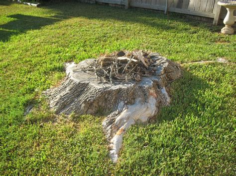 We have extensively researched to find the top two products on the market. DIY Fire Pit Tutorial