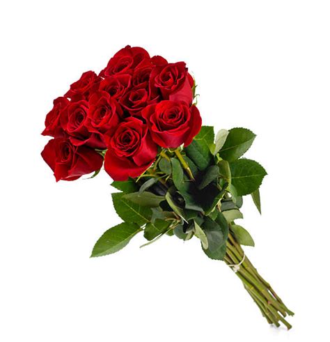 Dozen Roses Stock Photos Pictures And Royalty Free Images Istock