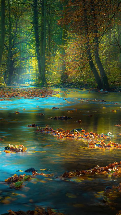 480x854 River Sunbeam Autumn 4k Android One Hd 4k Wallpapersimages