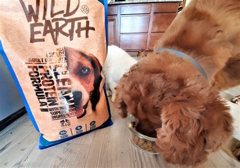 Pet food has become fraught. Wild Earth Dog Food Review 2020 - We're All About Pets