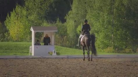 Cheval Canadien Dressage Youtube