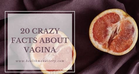 20 crazy facts you should know about vagina healthmonastery