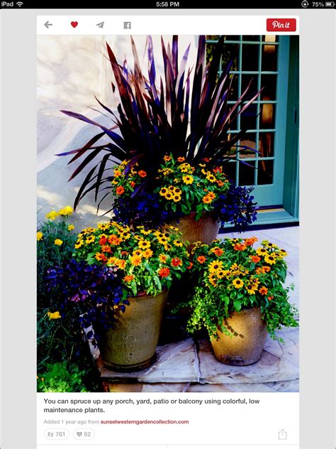 Pin By Barbara Holzlein On Gardening Fall Container