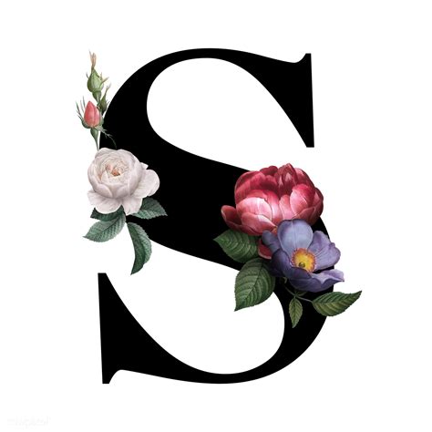 Check spelling or type a new query. Floral letter S font | Free transparent png - 583148