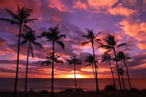 34 Maui Beach Sunset Wallpaper Wallpapersafari