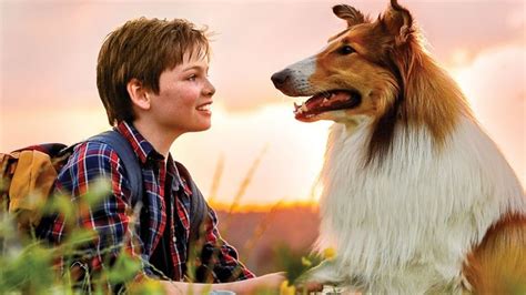 lassie eine abenteuerliche reise movie 2020