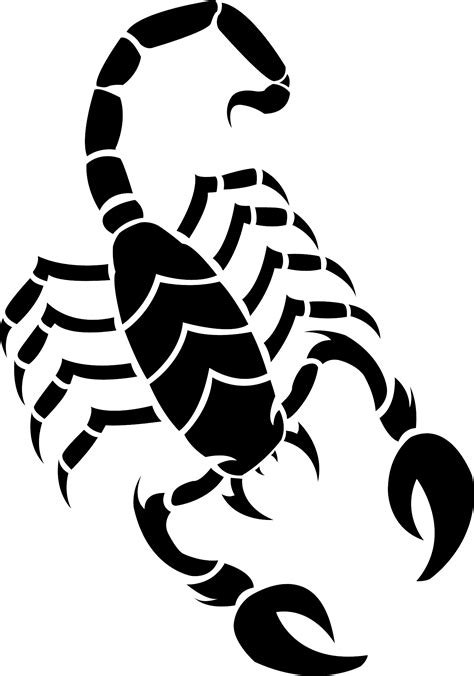 Scorpion Tattoo Silhouette PNG