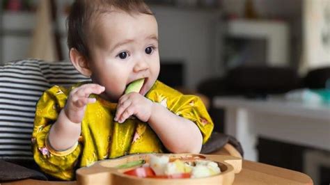 Kami mengumpulkan semua isi aplikasi ini dari berbagai sumber di internet. Dibanding Buah Sampai Biskuit Bayi, 5 Camilan untuk ...