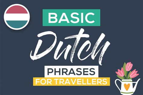 Survival Dutch Travel Phrase Guide With Pronunciation The Intrepid Guide