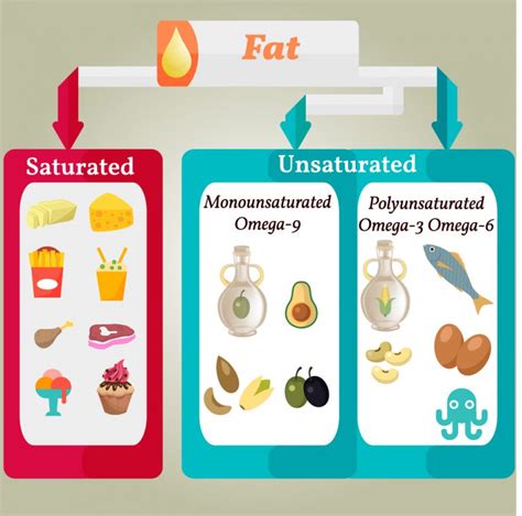 Saturated Fats Simple Ways To Reduce It Payal Kothari